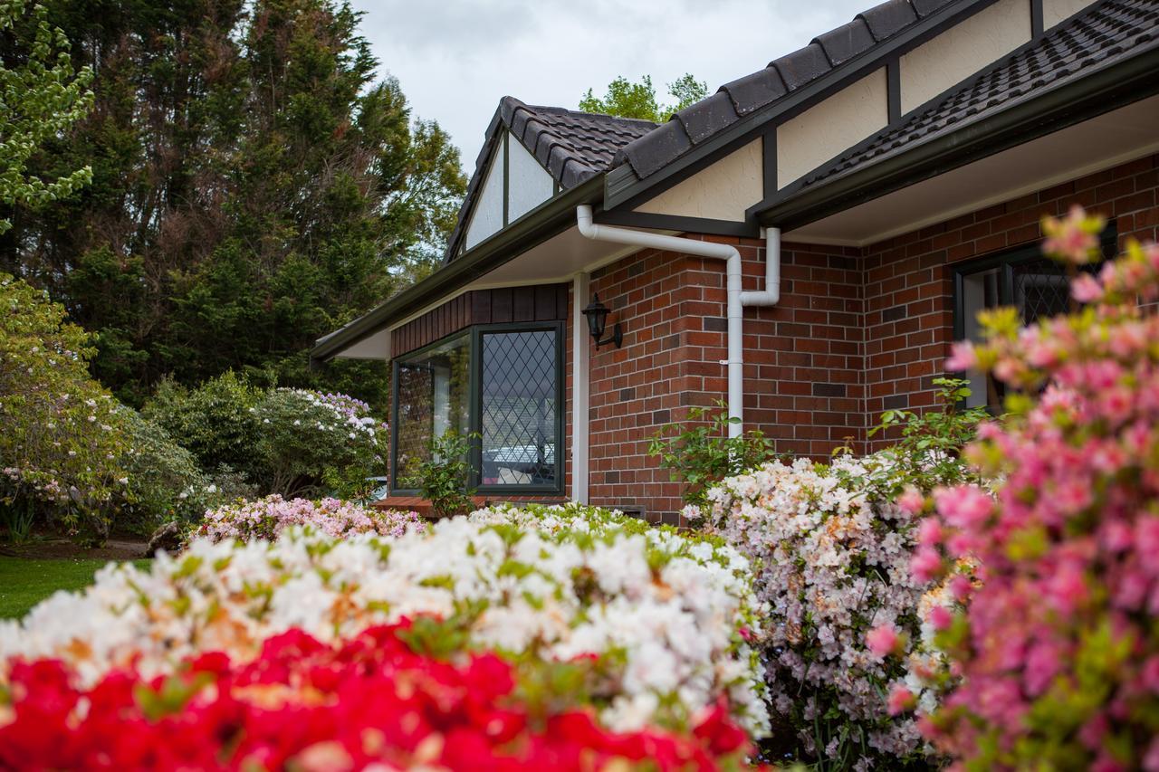 Clover Downs Homestead Rotorua Zewnętrze zdjęcie